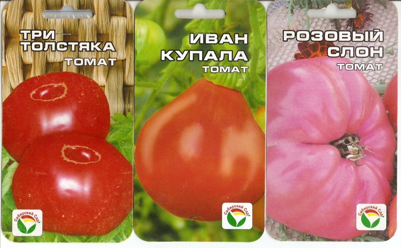 Лучшие сорта томатов: описание, отзывы, фото, характеристика Батяня - стр. 2 - Каталог сортов томатов с фото - форум